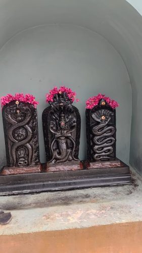 WhatsApp-Image-2026-01-09-at-5.35.18-PM-1