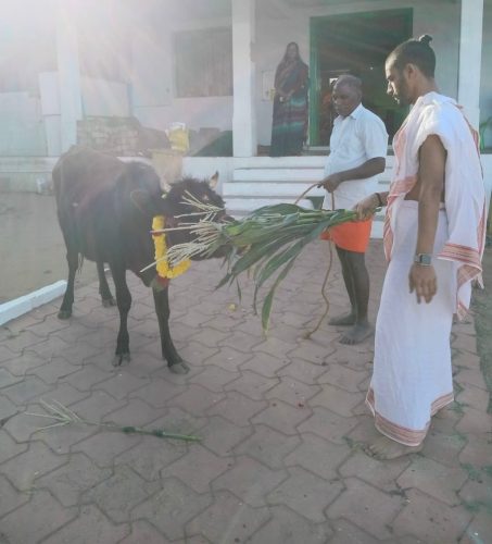 gopuja on 09-01-2026