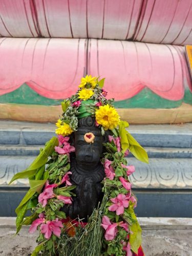 WhatsApp-Image-2026-01-10-at-5.33.59-PM