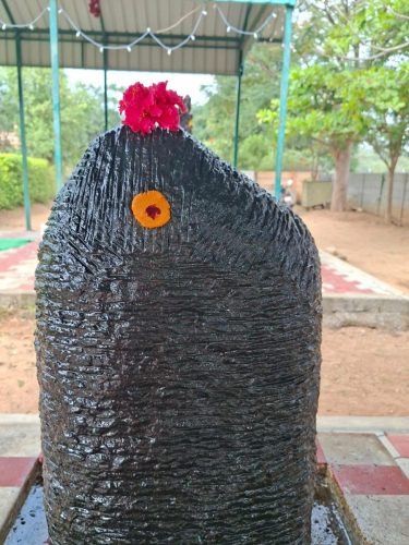 WhatsApp-Image-2026-01-10-at-5.34.01-PM