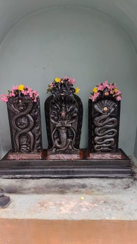 WhatsApp-Image-2026-01-10-at-5.34.52-PM-1