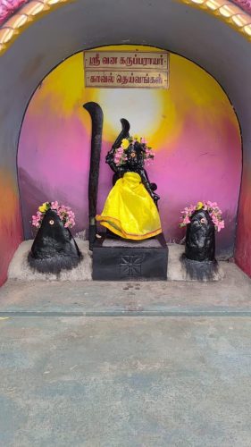 WhatsApp-Image-2026-01-10-at-5.34.53-PM-1