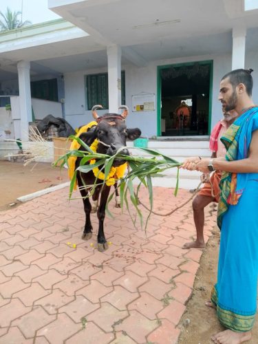 WhatsApp-Image-2026-01-11-at-4.26.33-PM