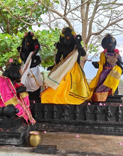 WhatsApp-Image-2026-01-12-at-8.26.09-PM