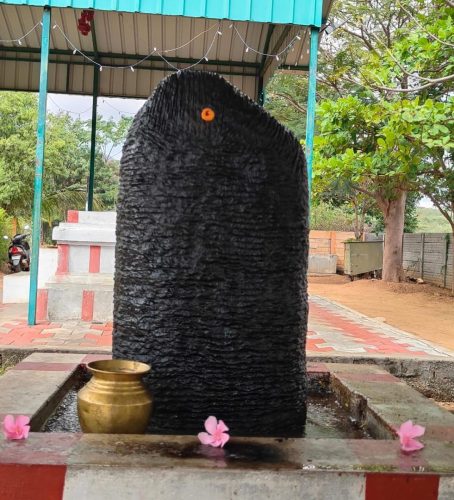 WhatsApp-Image-2026-01-12-at-8.26.12-PM