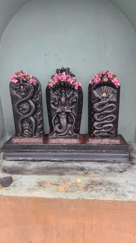 WhatsApp-Image-2026-01-12-at-8.26.51-PM-1