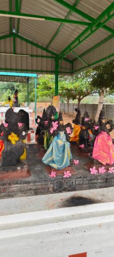 WhatsApp-Image-2026-01-13-at-5.09.38-PM-1