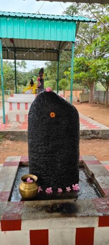 WhatsApp-Image-2026-01-13-at-5.09.39-PM