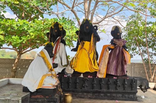 WhatsApp-Image-2026-01-14-at-11.58.34-AM-1