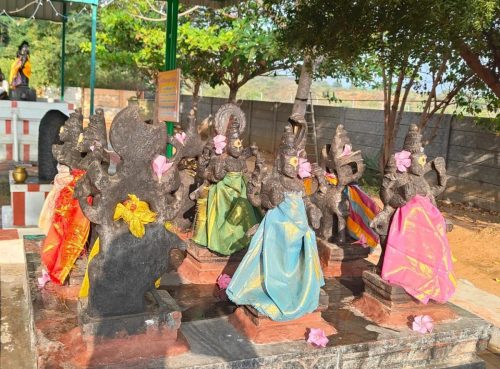 WhatsApp-Image-2026-01-14-at-11.58.36-AM