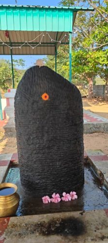 WhatsApp-Image-2026-01-15-at-3.09.06-PM