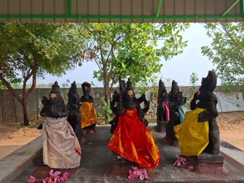 WhatsApp-Image-2026-01-17-at-1.43.23-PM-1