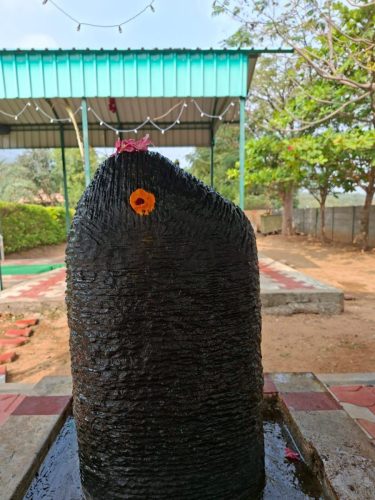 WhatsApp-Image-2026-01-17-at-1.43.24-PM