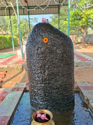 WhatsApp-Image-2026-01-18-at-2.55.06-PM-1