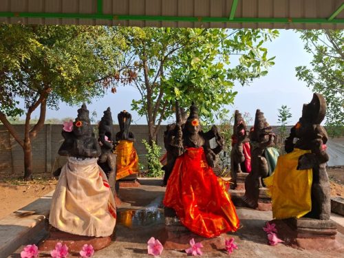 WhatsApp-Image-2026-01-19-at-5.49.06-PM-1