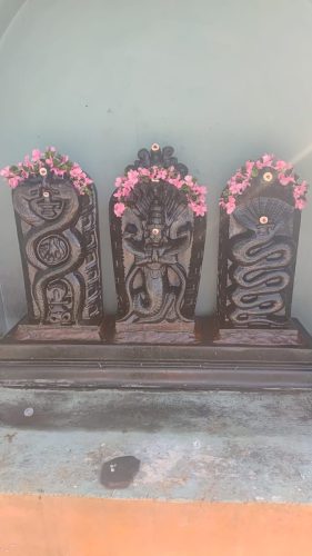 WhatsApp-Image-2026-01-19-at-5.49.52-PM