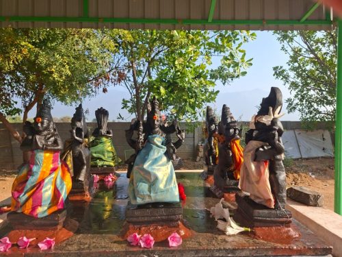 WhatsApp-Image-2026-01-23-at-1.22.34-PM