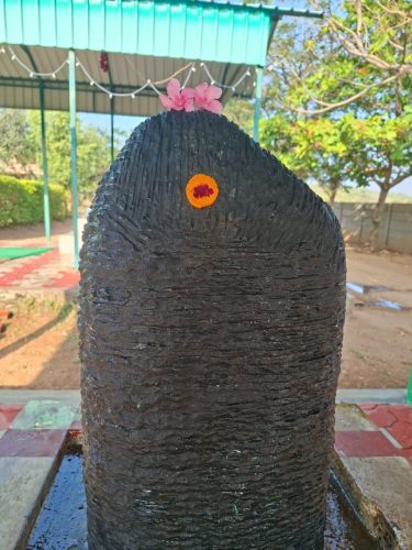 WhatsApp-Image-2026-01-23-at-1.22.35-PM-1