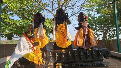 WhatsApp-Image-2026-01-24-at-11.35.29-AM