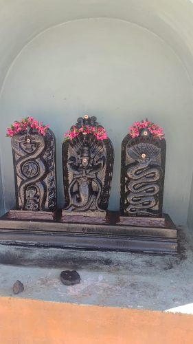 WhatsApp-Image-2026-01-24-at-11.36.06-AM