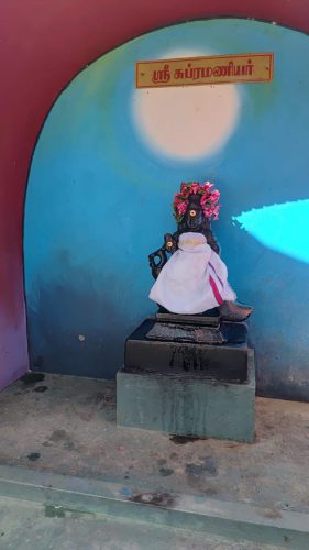 WhatsApp-Image-2026-01-24-at-11.36.08-AM