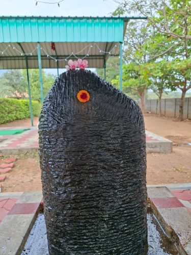 WhatsApp-Image-2026-01-25-at-4.47.17-PM-1