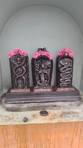 WhatsApp-Image-2026-01-25-at-4.49.06-PM-1 (1)