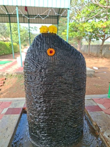 WhatsApp-Image-2026-01-27-at-4.56.17-PM-1