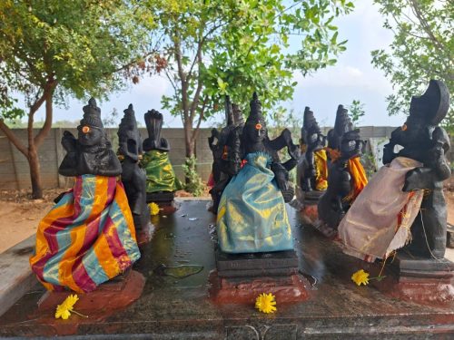 WhatsApp-Image-2026-01-27-at-4.56.17-PM