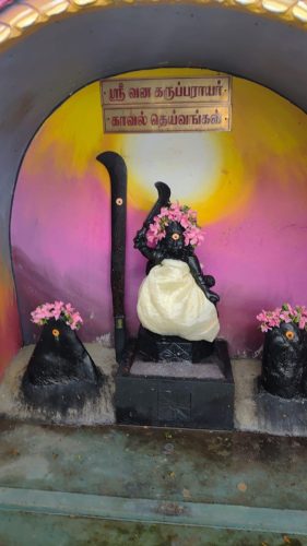 WhatsApp-Image-2026-01-27-at-4.57.23-PM