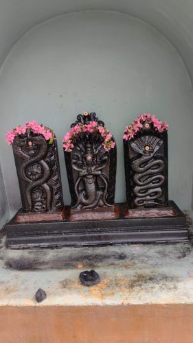 WhatsApp-Image-2026-01-27-at-4.57.24-PM