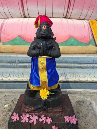 WhatsApp-Image-2026-01-28-at-2.50.19-PM