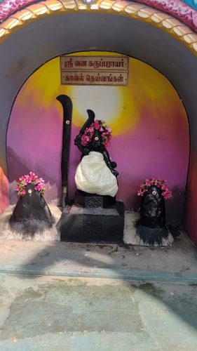 WhatsApp-Image-2026-01-28-at-2.51.52-PM