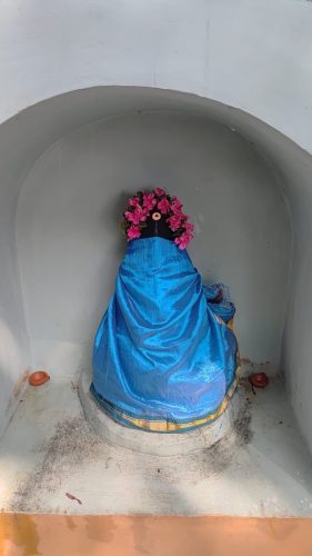 WhatsApp-Image-2026-01-28-at-2.51.53-PM