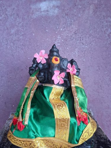 WhatsApp-Image-2026-01-29-at-10.59.26-AM-2