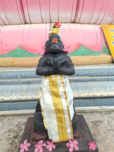 WhatsApp-Image-2026-01-29-at-10.59.26-AM