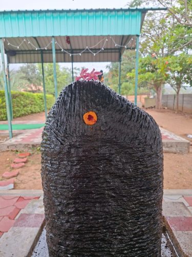 WhatsApp-Image-2026-01-29-at-10.59.28-AM-1