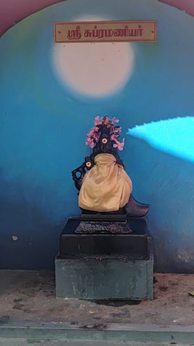 WhatsApp-Image-2026-01-31-at-2.57.37-PM-1