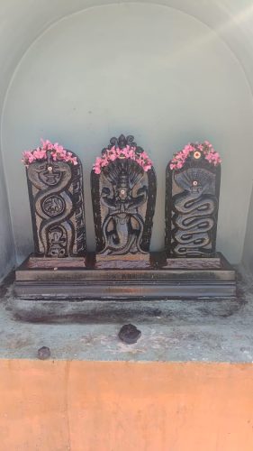 WhatsApp-Image-2026-01-31-at-2.57.39-PM