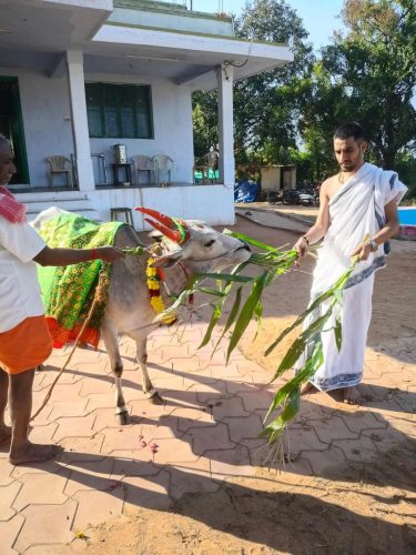 WhatsApp-Image-2026-01-31-at-4.50.53-PM