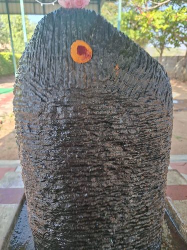 WhatsApp-Image-2026-02-01-at-10.07.55-PM