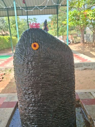 WhatsApp-Image-2026-02-03-at-12.49.27-AM-1