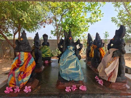 WhatsApp-Image-2026-02-03-at-12.49.27-AM