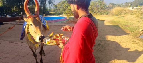 gopuja on 04-02-2026