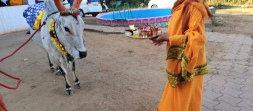 gopuja on 06-02-2026