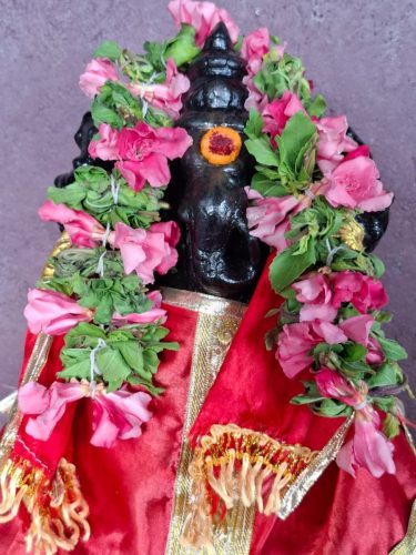 WhatsApp-Image-2026-02-07-at-8.04.37-PM-1