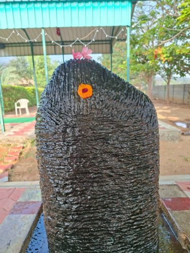 WhatsApp-Image-2026-02-07-at-8.04.38-PM-1