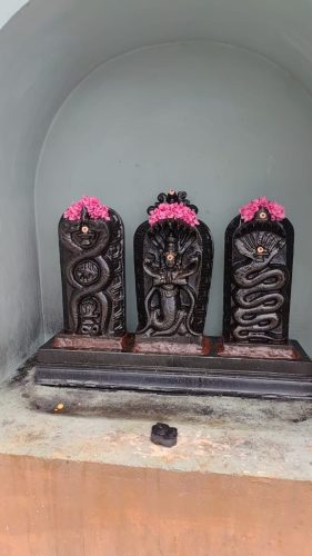 WhatsApp-Image-2026-02-07-at-8.05.18-PM