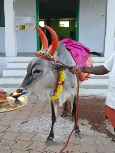 gopuja on 07-02-2026