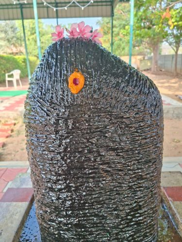 WhatsApp-Image-2026-02-08-at-10.06.46-AM